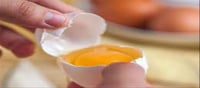 Does Egg yolks are bad for your health due to cholesterol?